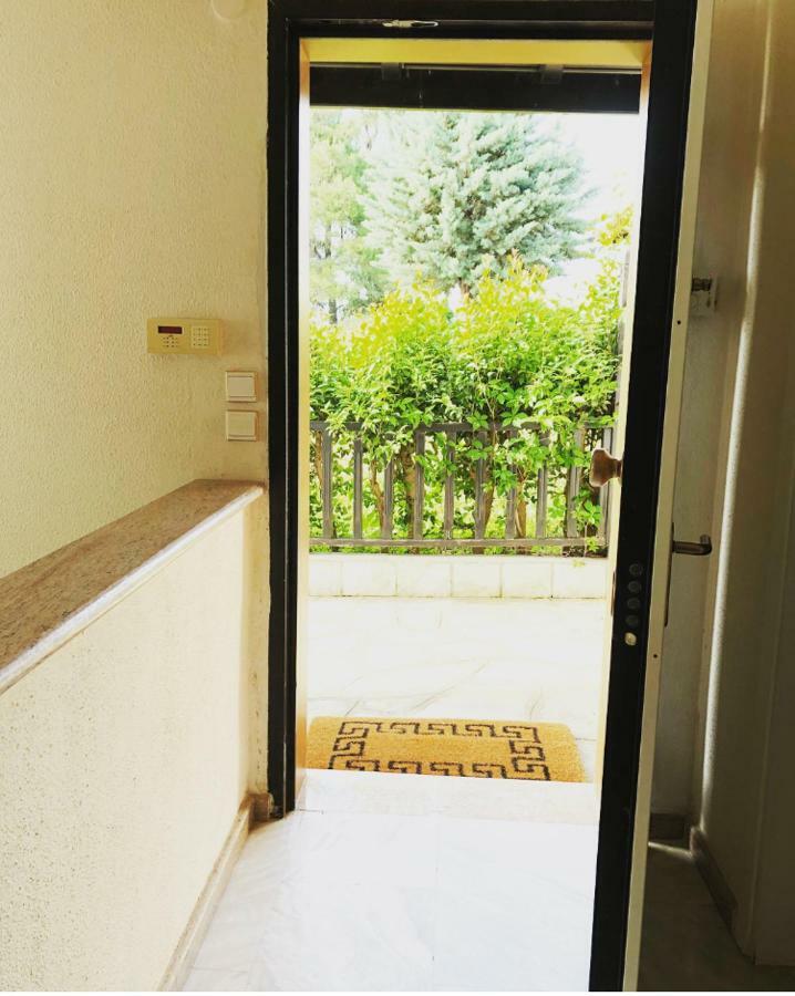 Bright & Spacious Seaview Villa Siviri Exterior photo
